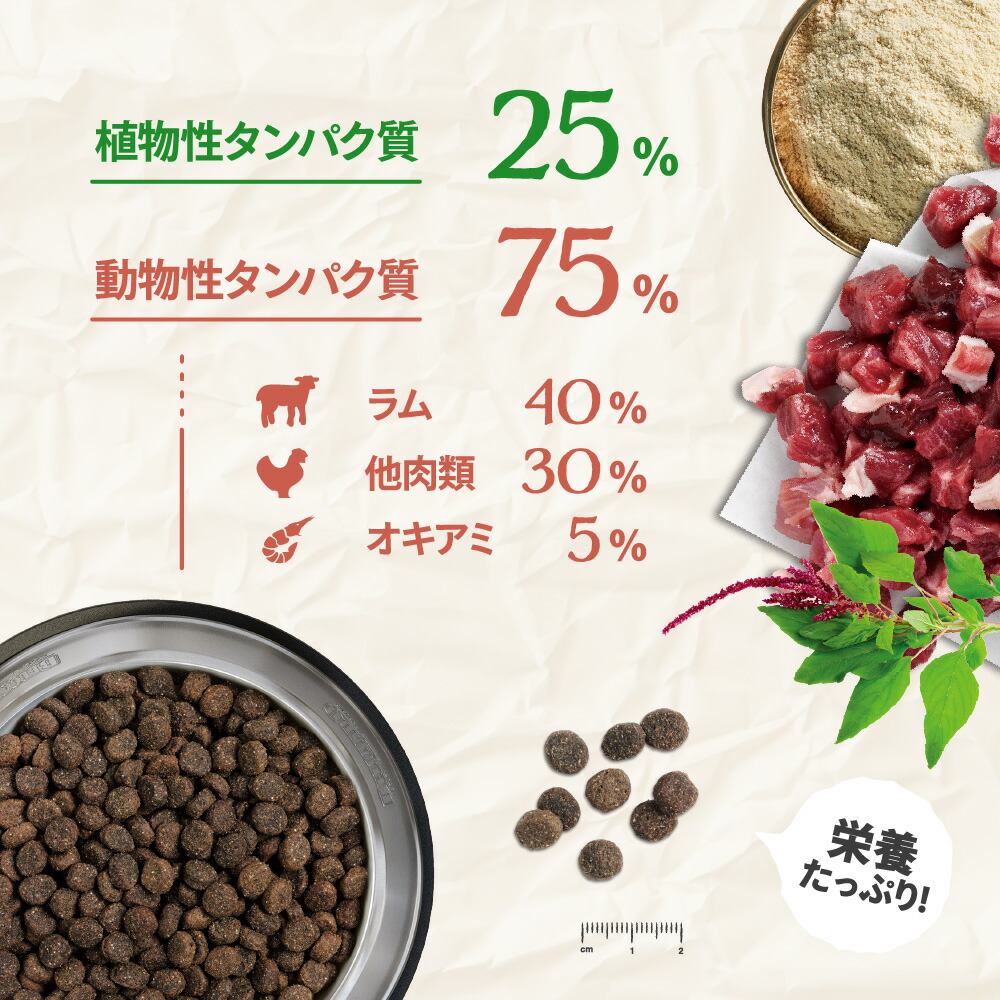 楽天市場】☆BELCANDO ベルカンド アダルト 高級ラム グレインフリー