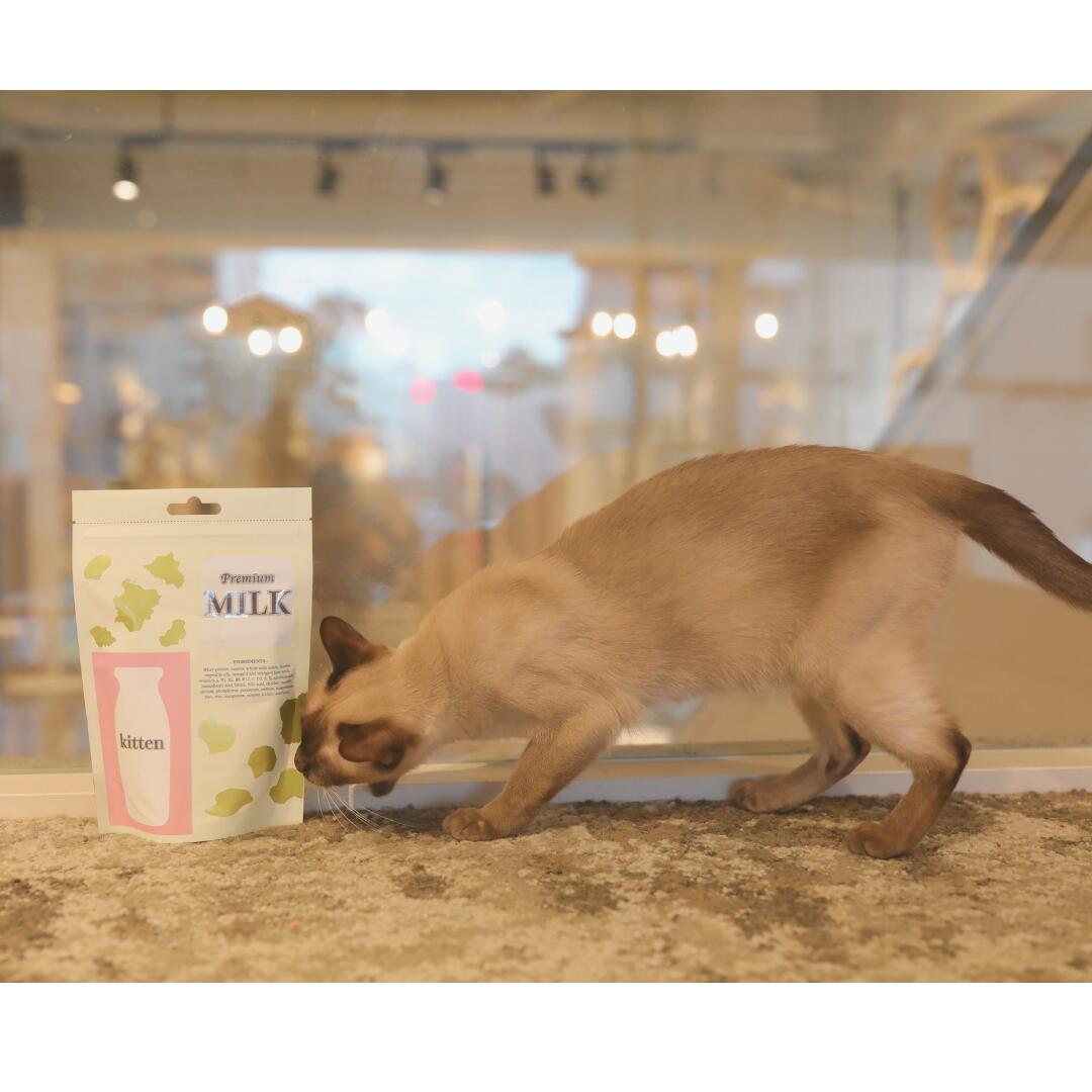 楽天市場】【子猫用 粉ミルク 270g】Dream Belll ドリームベル