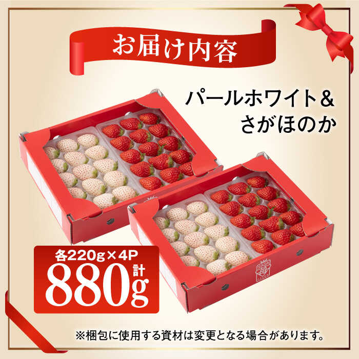 楽天市場】【ふるさと納税】【2026年1月以降発送】 いちご食べ比べ