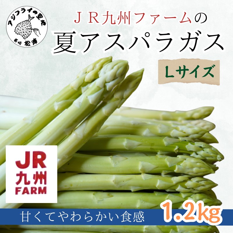 楽天市場】【ふるさと納税】JR九州ファームの夏アスパラガス Lサイズ