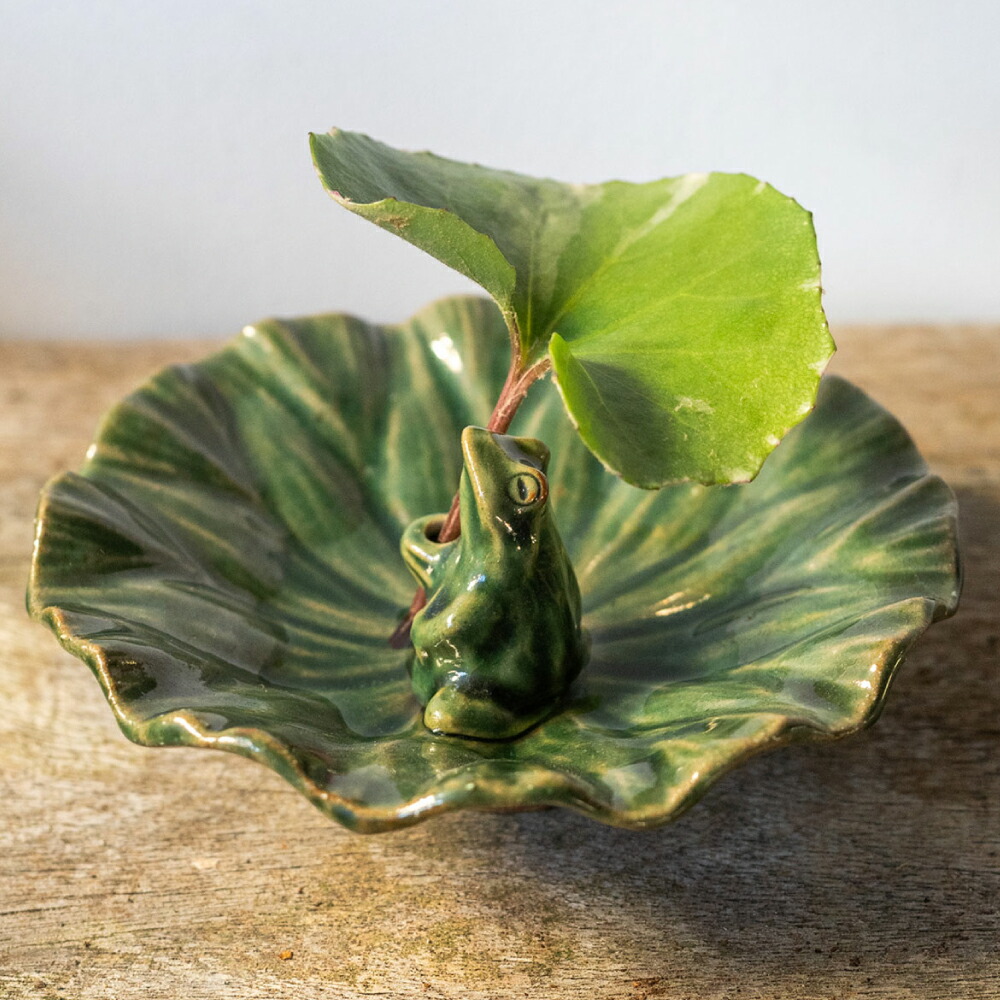 楽天市場】【ふるさと納税】【波佐見町の陶芸作家 長瀬渉】蓮の上の蛙
