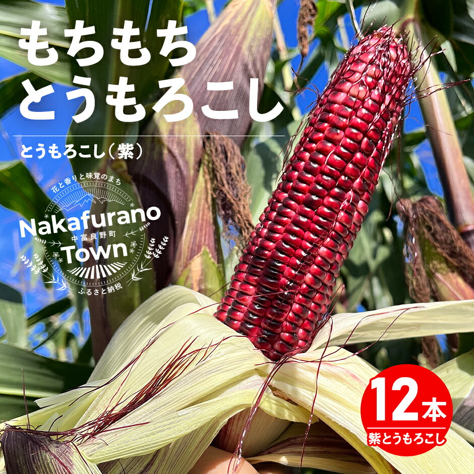 楽天市場】【ふるさと納税】【2026年発送】もちもちトウモロコシ紫 12