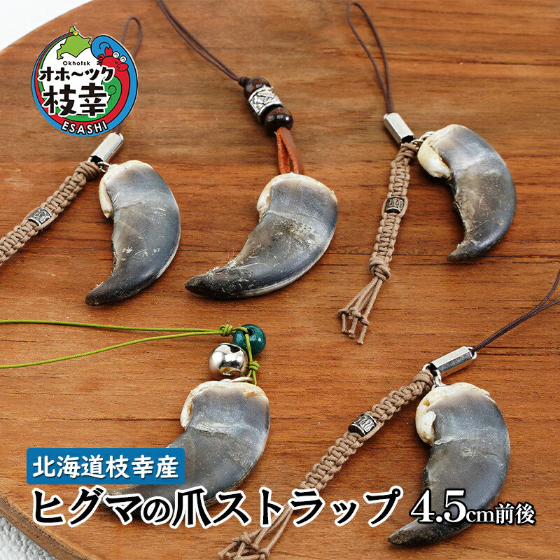 楽天市場】【ふるさと納税】北海道枝幸産 ヒグマの爪ストラップ 4.5cm