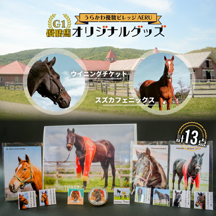 楽天市場】【ふるさと納税】優駿ビレッジAERU G1馬オリジナルグッズ(計