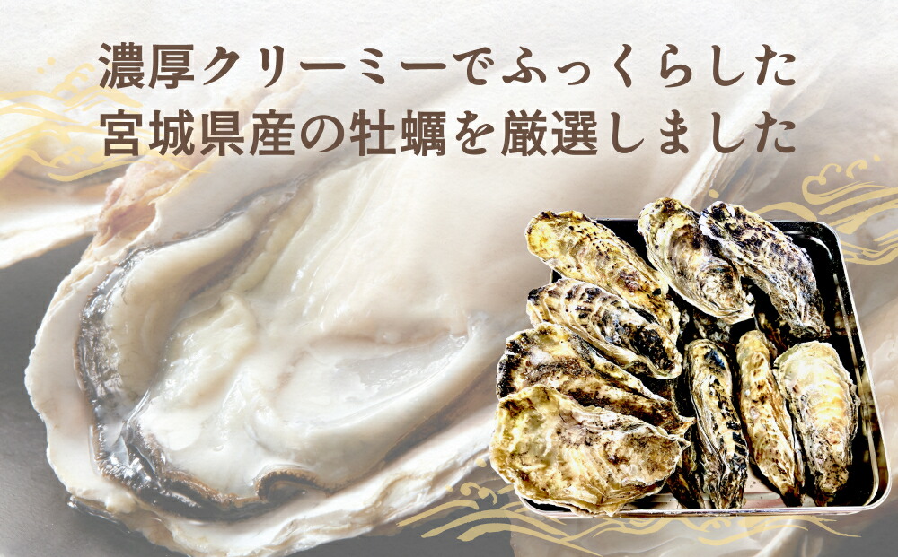 楽天市場】【ふるさと納税】殻付き牡蠣 宮城県産 缶カン焼きセット 1.5