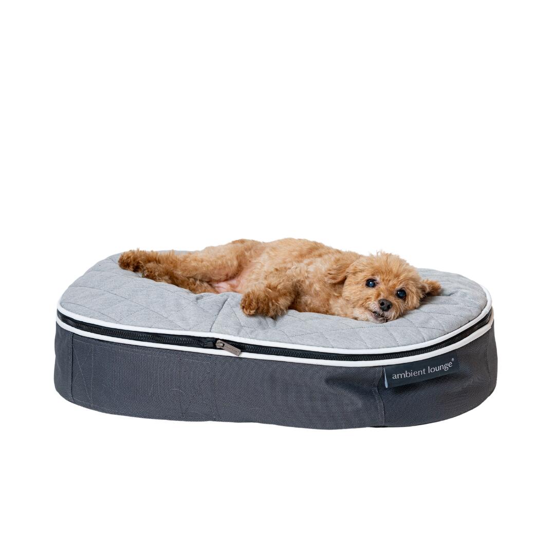 アンビエントラウンジ】犬ペットラウンジグレーLOW エリート・キルト