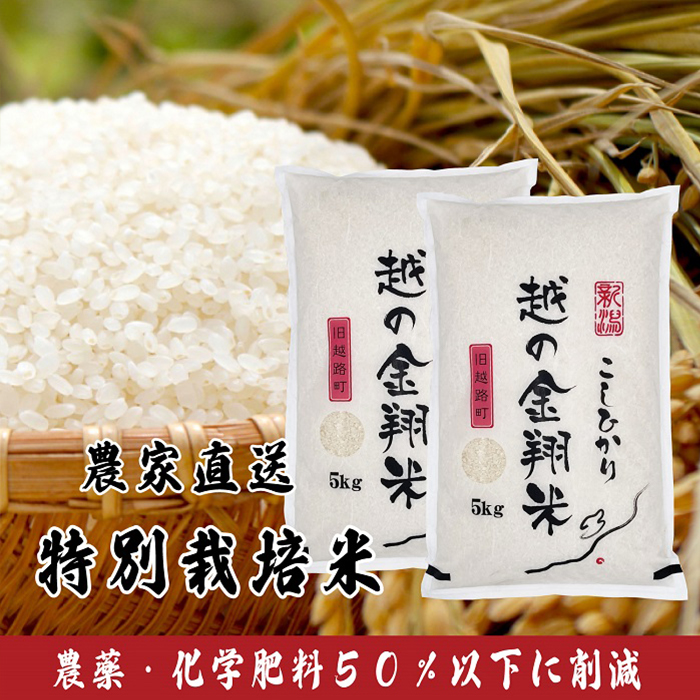 北信州産コシヒカリ 令和6年収穫分 天日干し 白米10kg オンライン 北