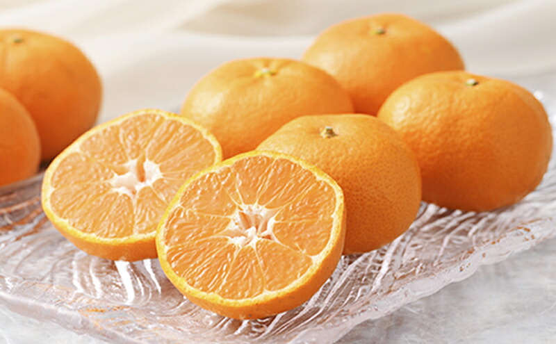 楽天市場】【ふるさと納税】【2026年6月下旬より順次発送】静岡県浜松