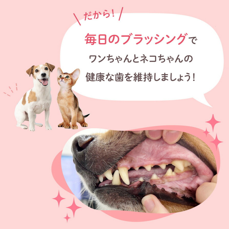 楽天市場】クリスタルジョイ おまけ歯ブラシ1本付き 歯磨きジェル 歯石