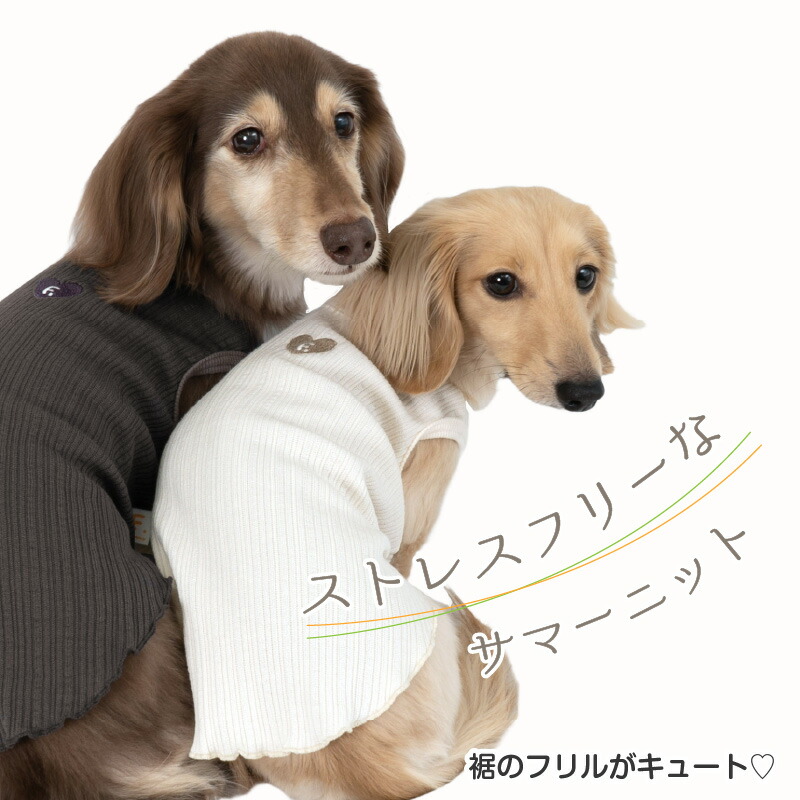 楽天市場】犬 服 ランダム ニット 裾 フリル タンク ダックス 小型犬用