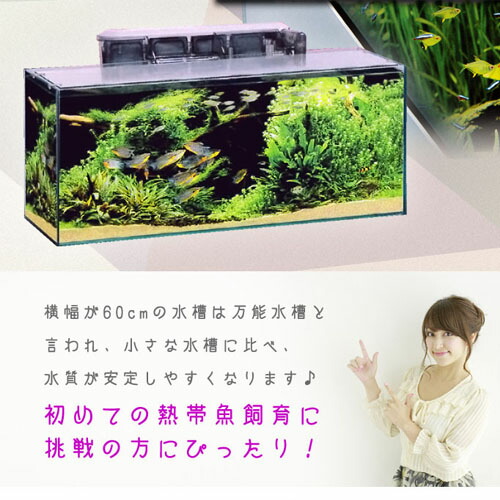 楽天市場】【水槽set】スーパーSET 13点 60cm 水槽セット 初心者の