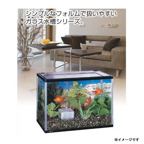 楽天市場】GEX マリーナ幅45cm水槽 MR450BKST-N【水槽/熱帯魚/観賞魚