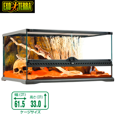 グラステラリウム6030