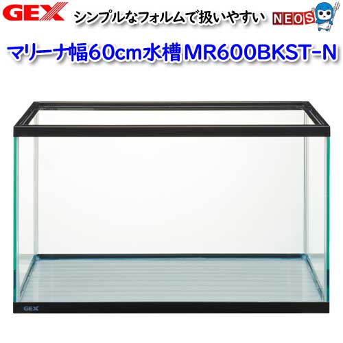 楽天市場】GEX マリーナ幅60cm水槽 MR600BKST-N【水槽/熱帯魚/観賞魚