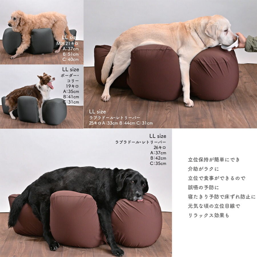 楽天市場】リラクッション ペット M OneAid 犬用 猫用 介護 介護用品
