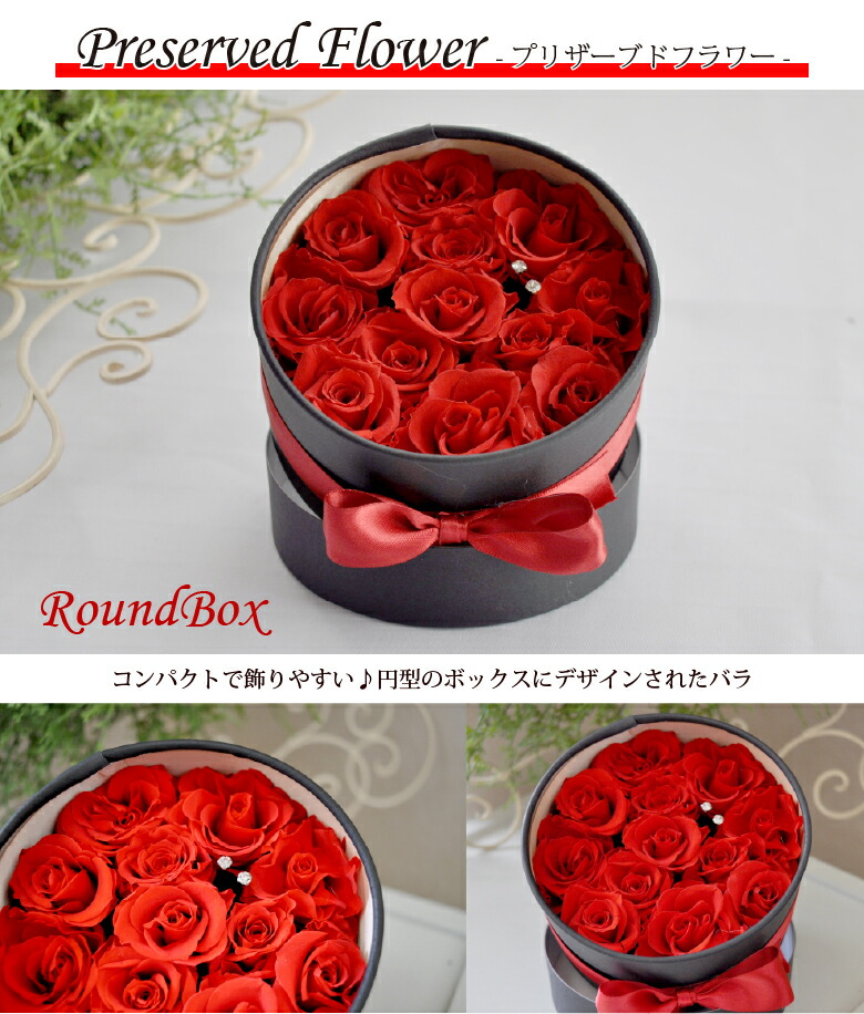 小川立夫 薔薇 12号 小川立夫 薔薇 12号