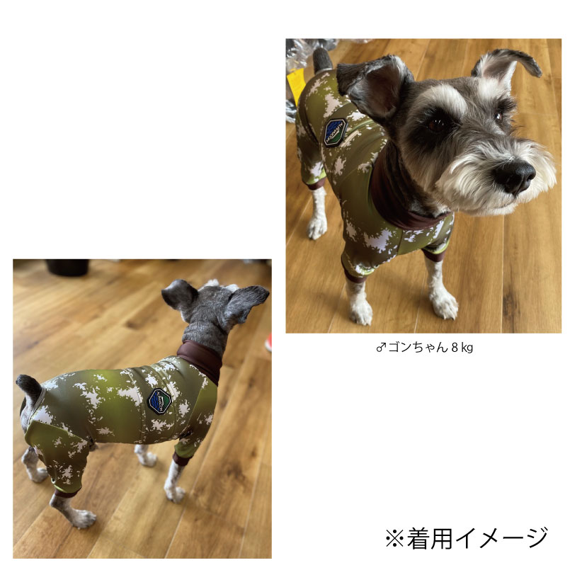 ALPHAICON 犬 服 フルドッグガード EMERALD MIST 楽天市場】ALPHAICON