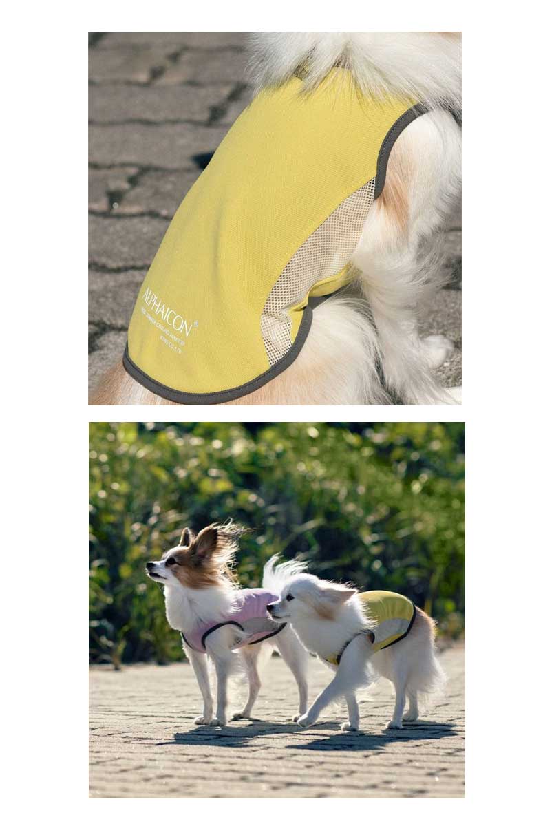 楽天市場】ALPHAICON アルファアイコン サマークーリングタンクトップ