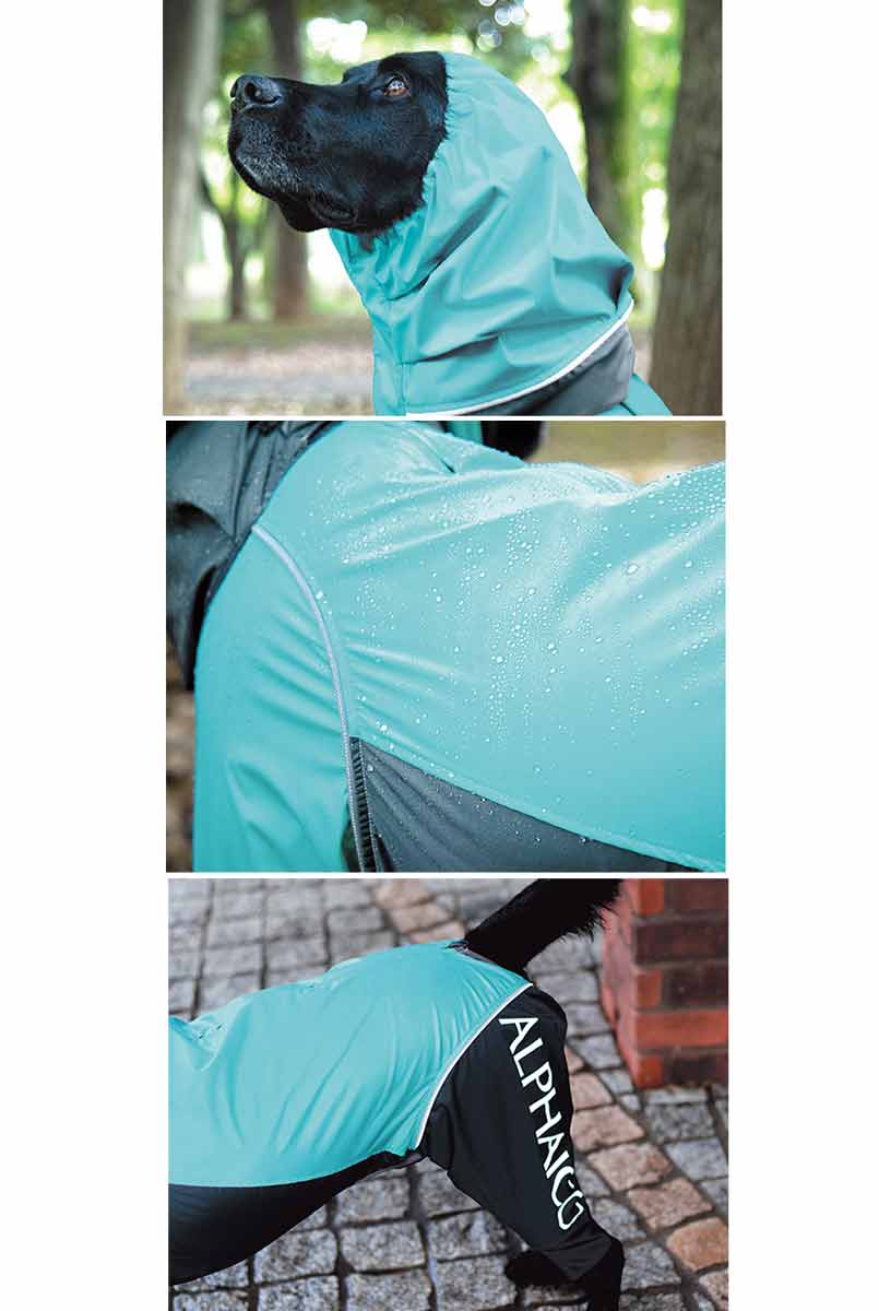 ALPHAICON アルファアイコン レインドッグガード 青とグレー【LL