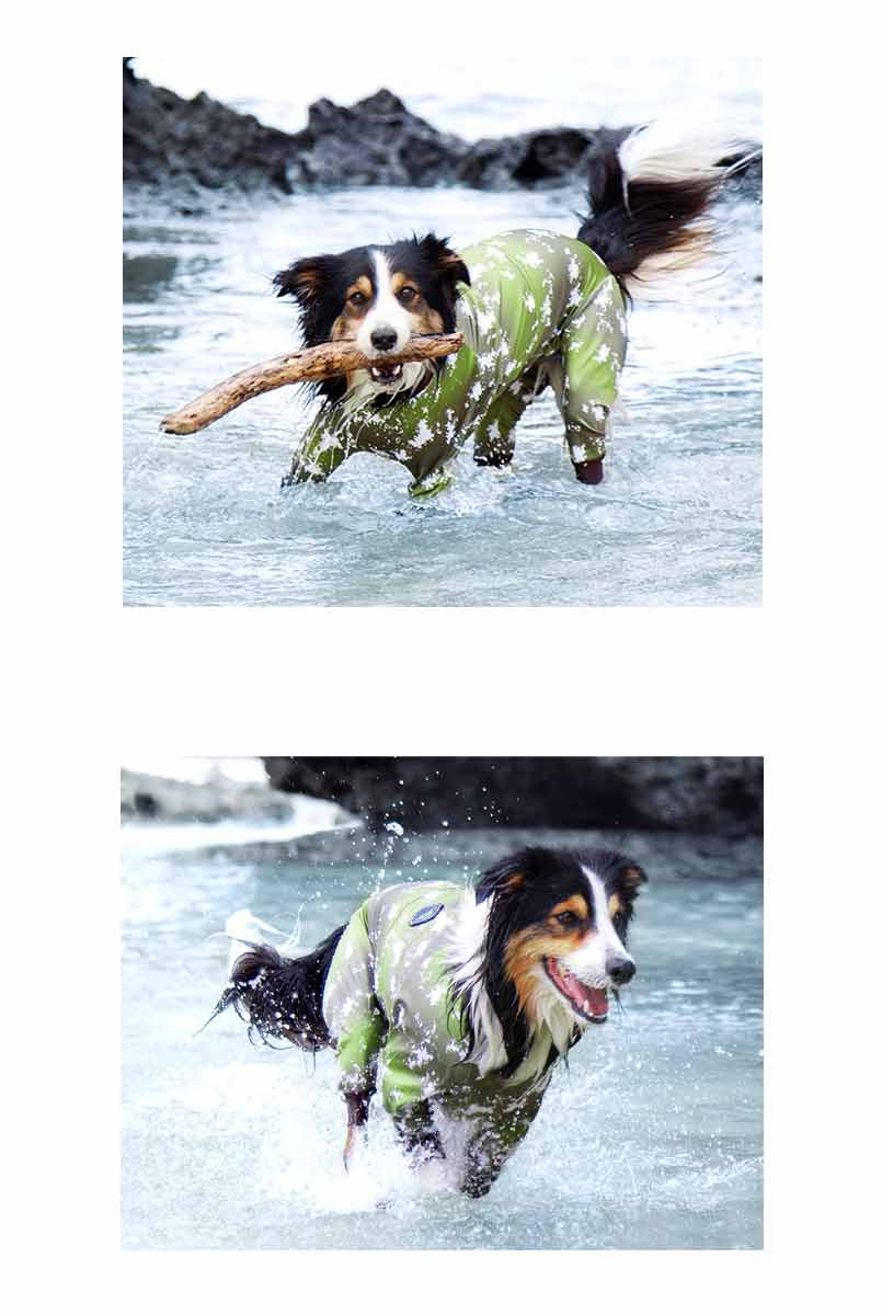 楽天市場】ALPHAICON アルファアイコン フルドッグガード MLサイズ 高