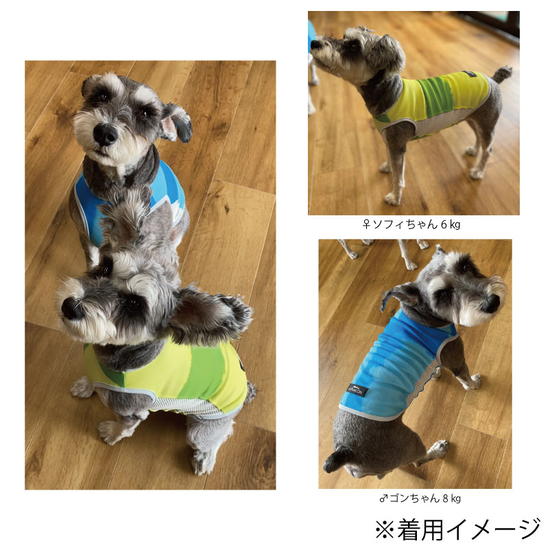 楽天市場】ALPHAICON アルファアイコン サマークーリングタンクトップ