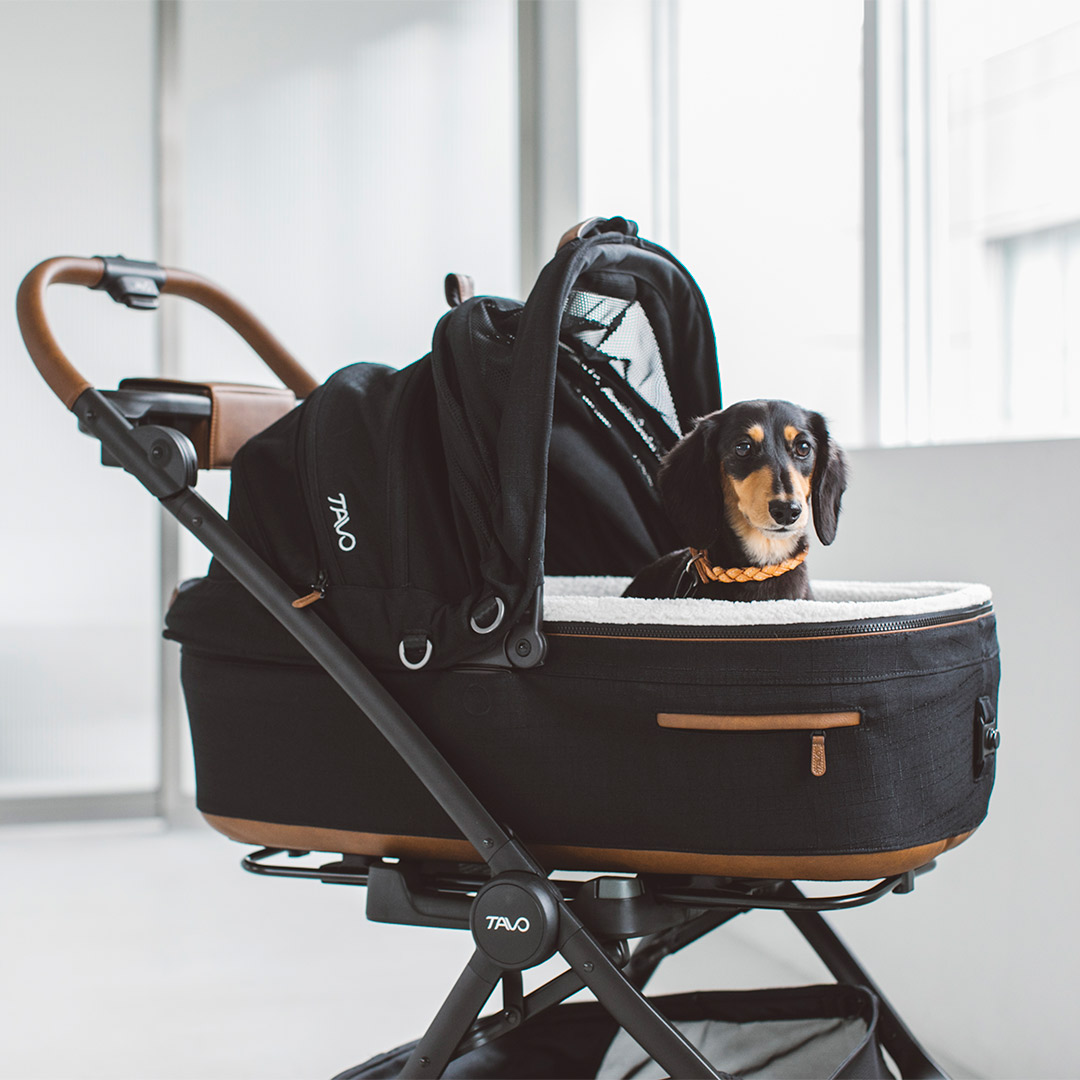 楽天市場】【犬 カート】TAVO Maeve メイブ ＋ Roscoe ロスコー ＋