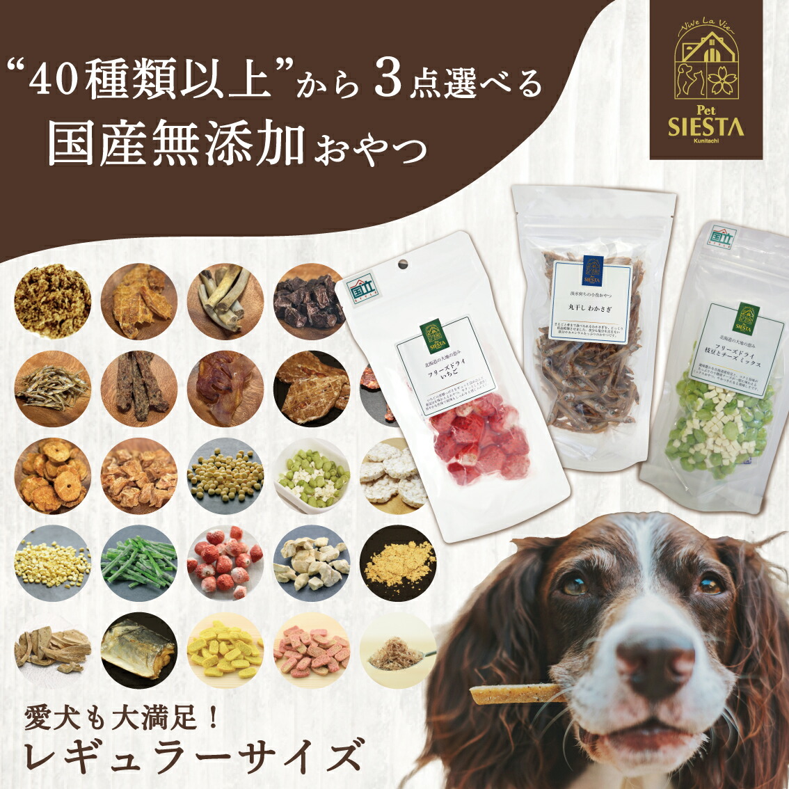 無添加 北海道産 犬用おやつ ブルーベリービスケット 60gx20袋セット
