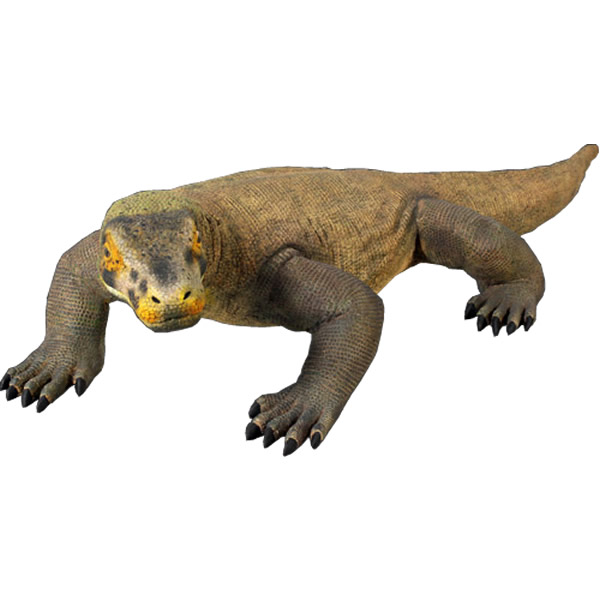 楽天市場】FRPアニマルオブジェ コモドドラゴン【即納可】置物 動物