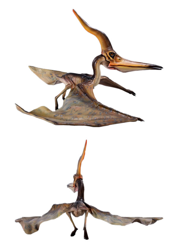 楽天市場】FRP恐竜オブジェ プテラノドン・144cm置物 白亜紀 翼竜類