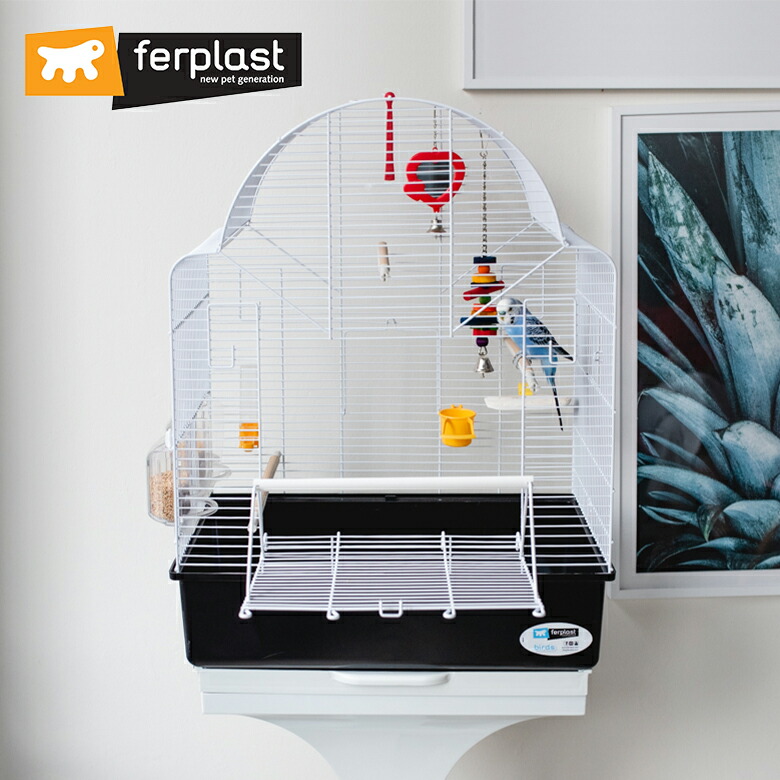 楽天市場】鳥かご イビザ オープン ホワイト Ibiza Open 鳥籠 ケージ