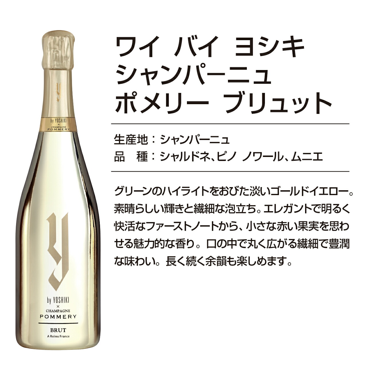 楽天市場】Y by YOSHIKI × CHAMPAGNE POMMERY BRUT【送料無料】ワイ
