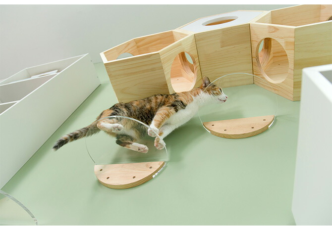 楽天市場】＼ペット割で最大P7／ キャットステップ MYZOO マイズー