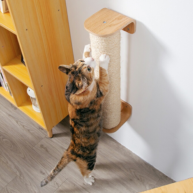 楽天市場】猫 爪とぎ MYZOO マイズー CYLINDER 爪とぎポール