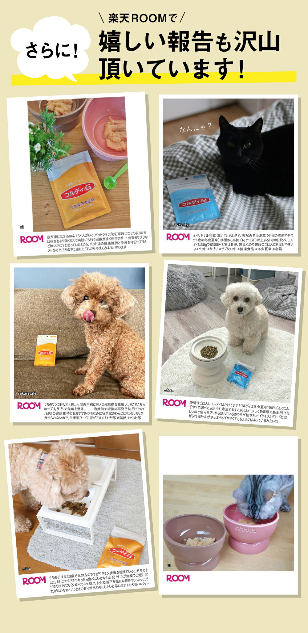 楽天市場】【”何かしてあげたい”に冬虫夏草の力】犬 猫 サプリ 犬用 猫