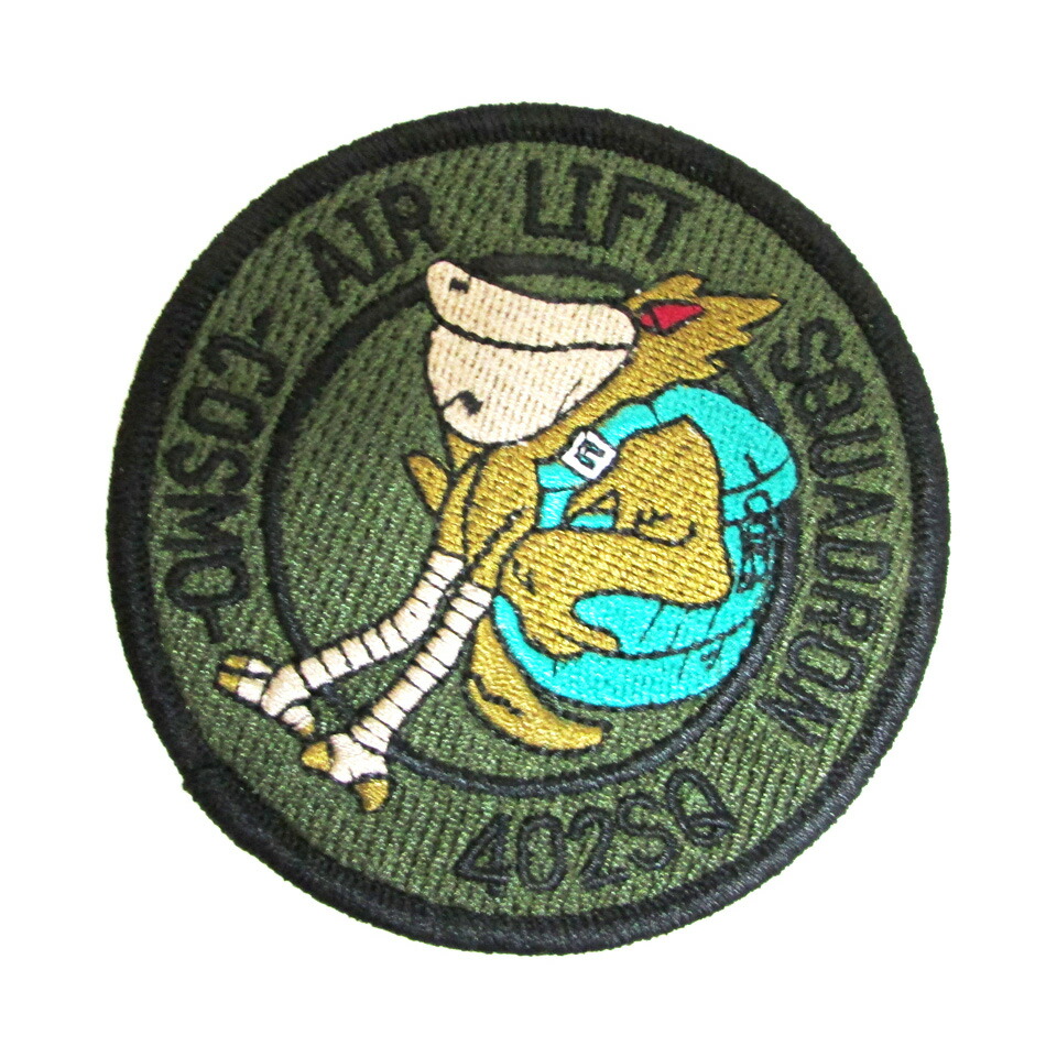 航空自衛隊C-1ファイナル ワッペン パッチ 銀 402飛行隊 部隊