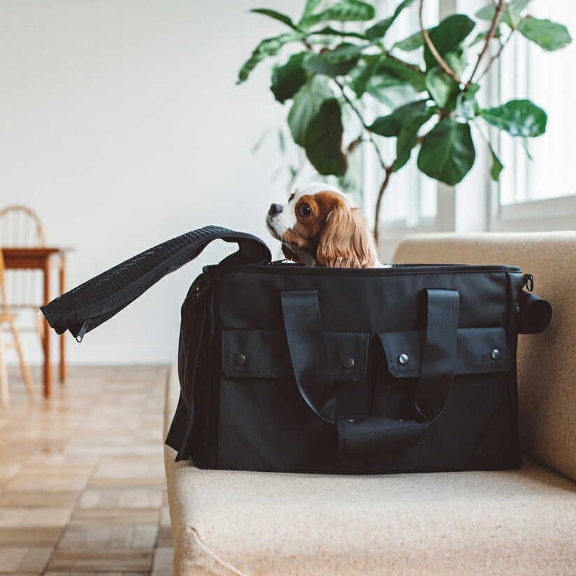 楽天市場】【犬用 キャリーバッグ】ペットキャリー ペット キャリー 犬