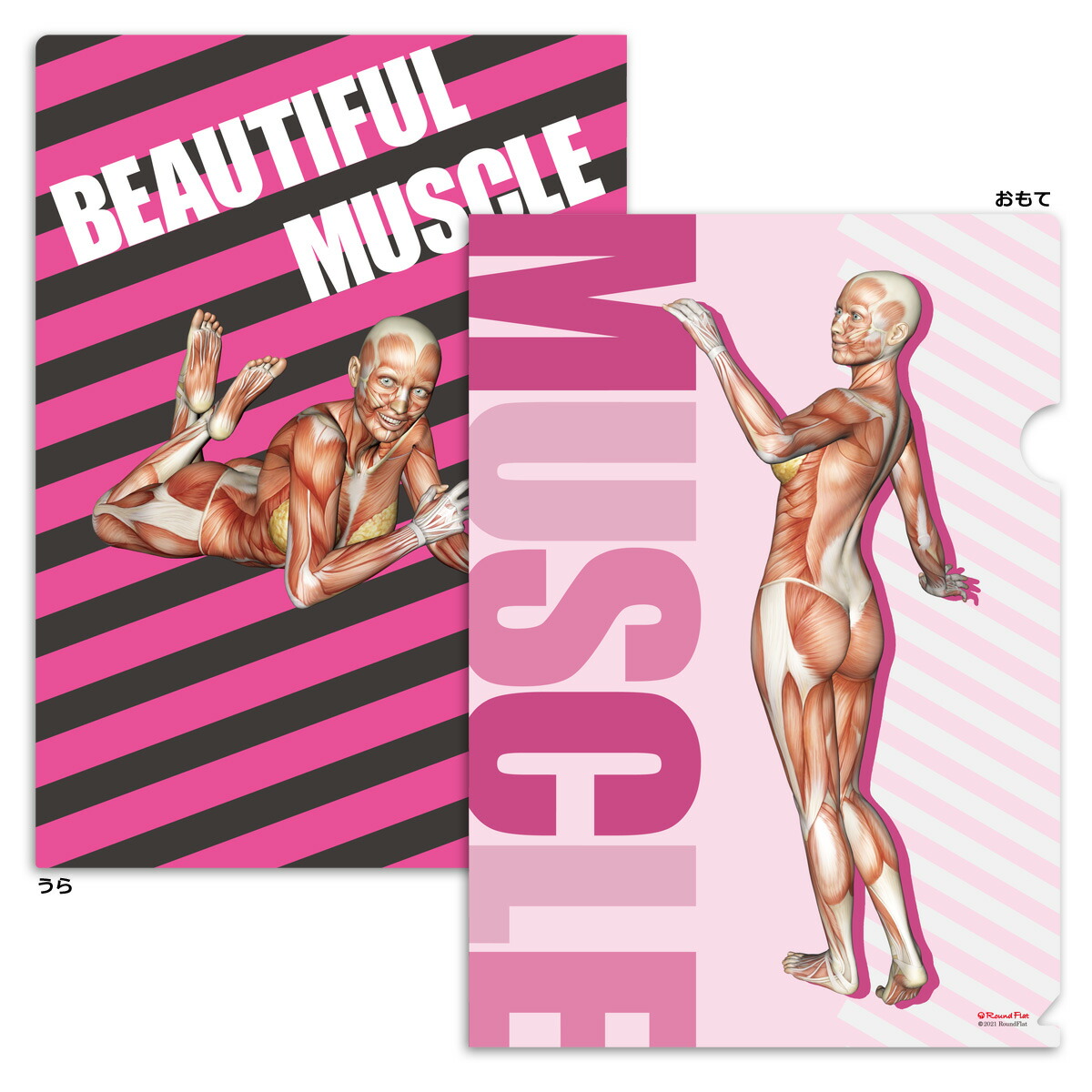 楽天市場】クリアファイル 筋肉 ポーズ 「筋次郎コレクション1 クリア