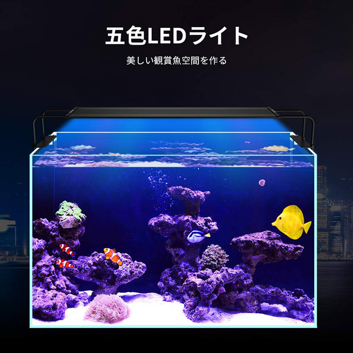 楽天市場】水槽ライト アクアリウムライト LED 観賞魚ライト 42〜65cm
