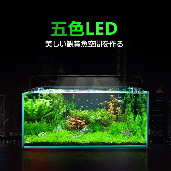 楽天市場】水槽ライト アクアリウムライト LED 観賞魚ライト 42〜65cm