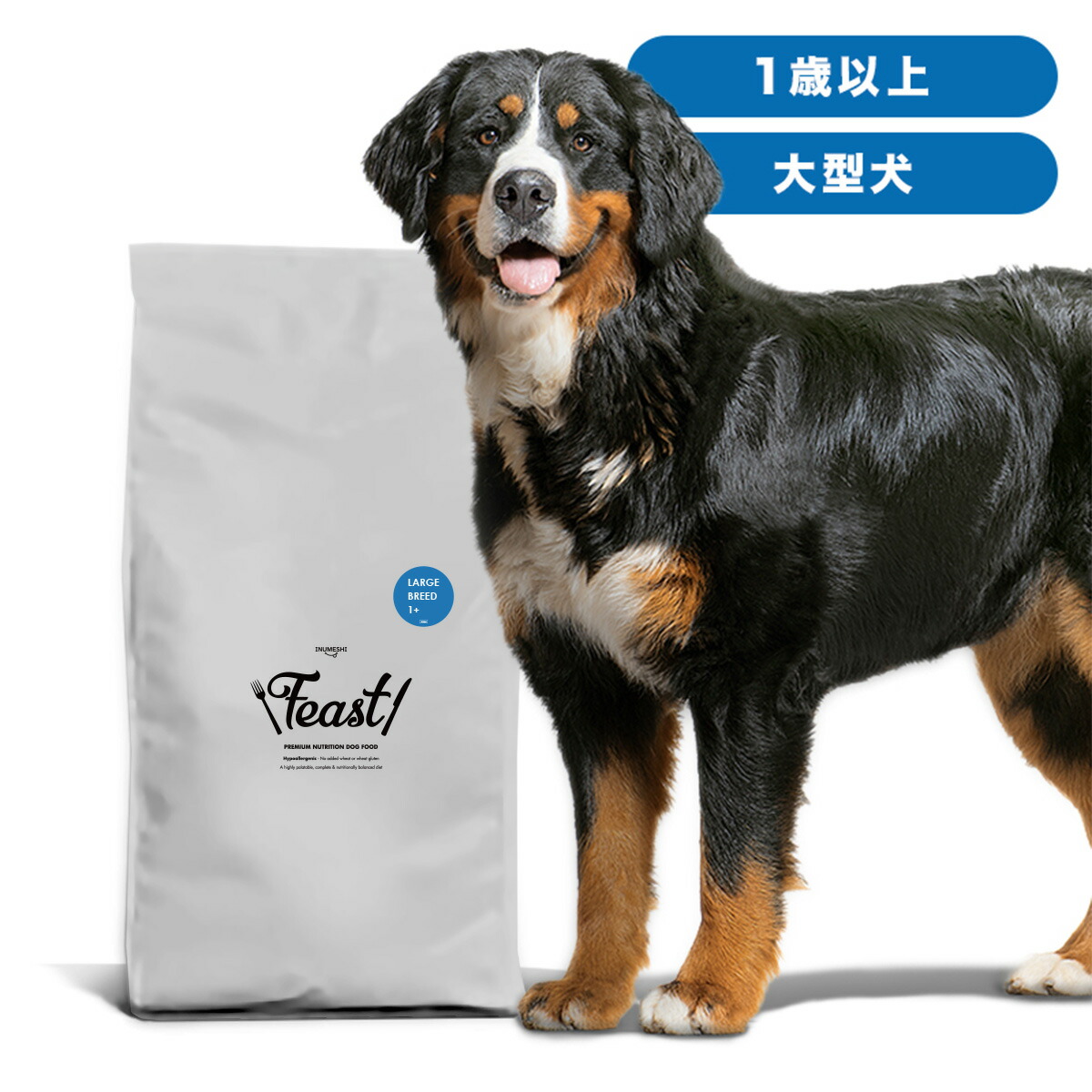 楽天市場】ホリスティックレセピー バリュー チキン＆ライス 成犬用