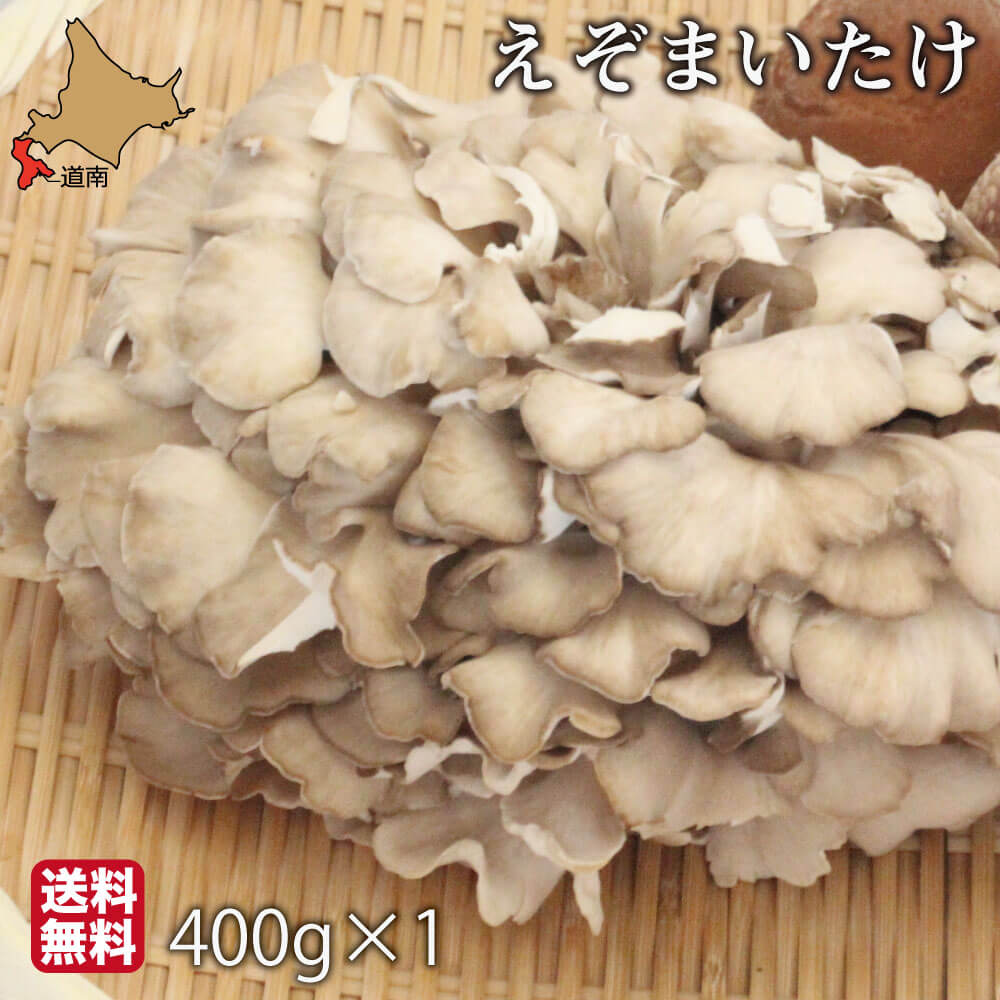 楽天市場】朝採り まいたけ 北海道 400g×1 大株 蝦夷 舞茸 えぞ