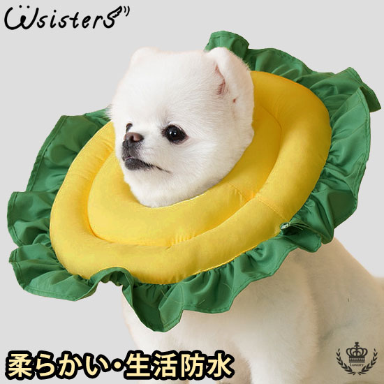 楽天市場】【アウトレット特価・送料無料】 犬 猫 エリザベスカラー