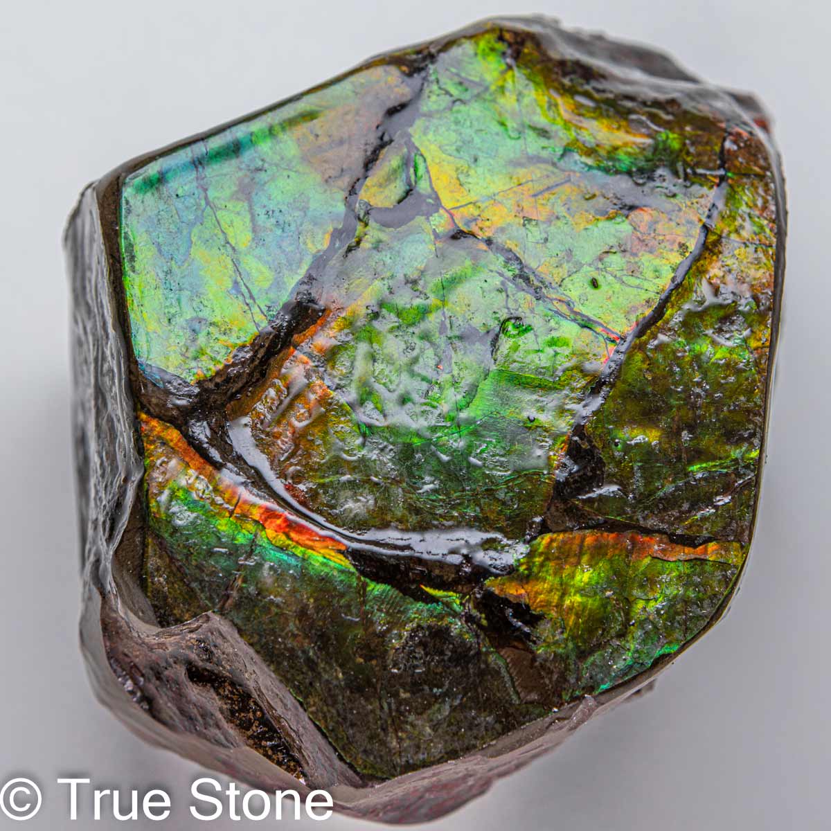 楽天市場】鑑別書付き 希少 AAA アンモライト 原石 608g ドラゴン