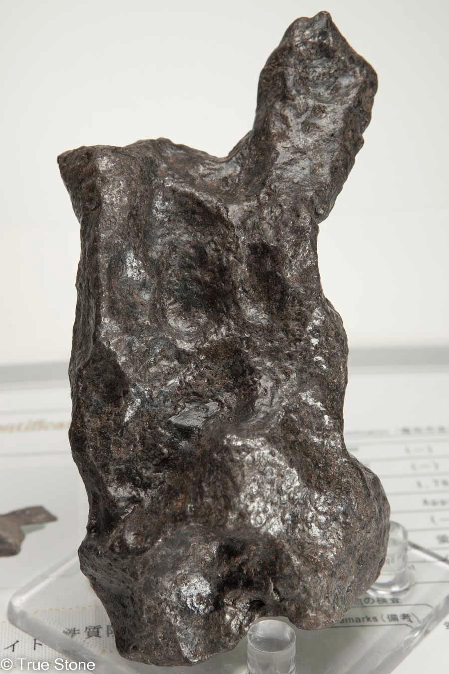 楽天市場】鑑別書付き カンポデルシエロ隕石 メテオライト 1079.8g