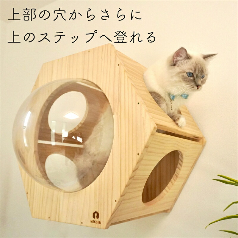 楽天市場】壁掛け キャットステップ 六角ヘキサゴン 穴あけ不要 完成品