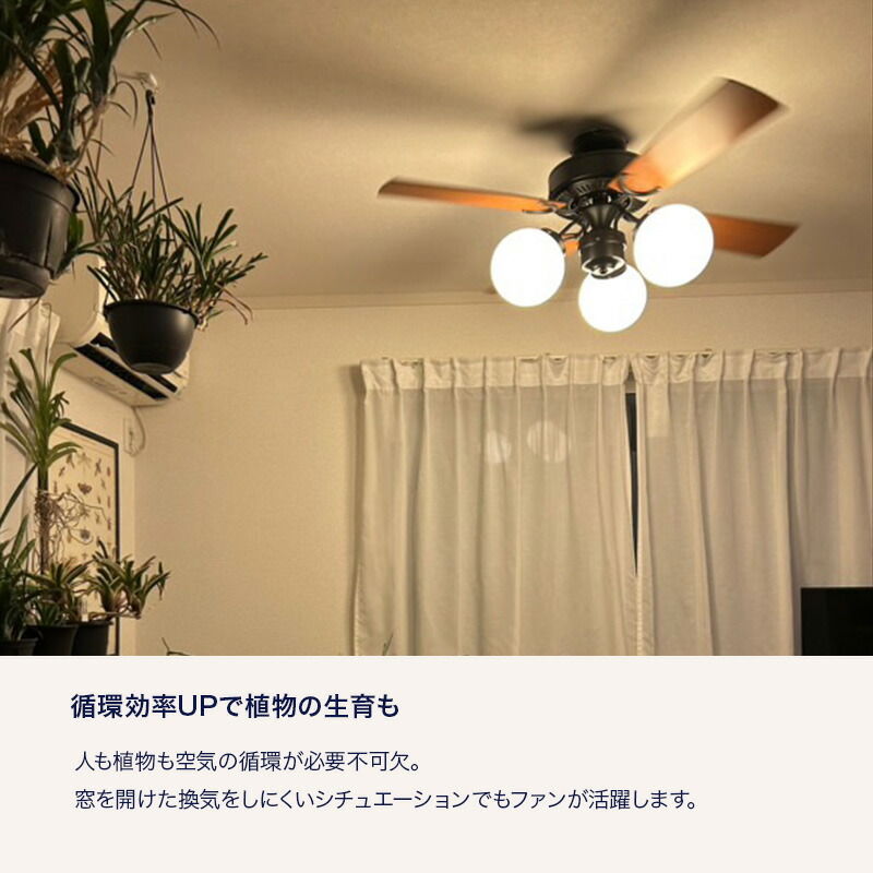 楽天市場】工事不要 シーリングファンライト LED ファン付き照明 6畳