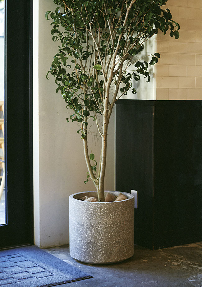 植木鉢andソーサー✳︎POT観葉植物✳︎園芸プランター 植木鉢and