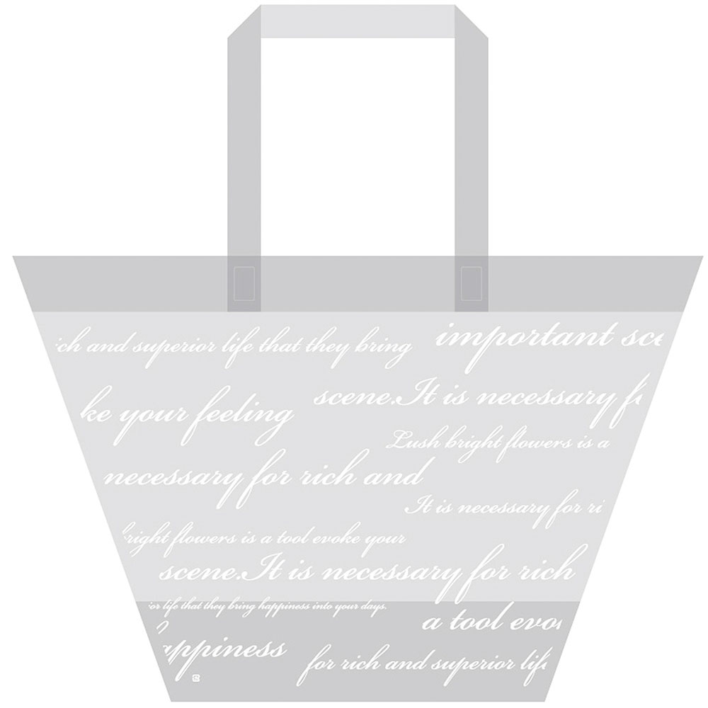 楽天市場】テイクアウトパッケージ 袋 おしゃれ ラッピング 包装