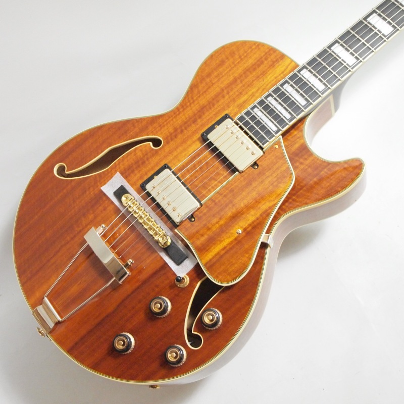 アイバニーズ Artcore AG95 DBS (エレキギター) 価格比較 - 価格.com