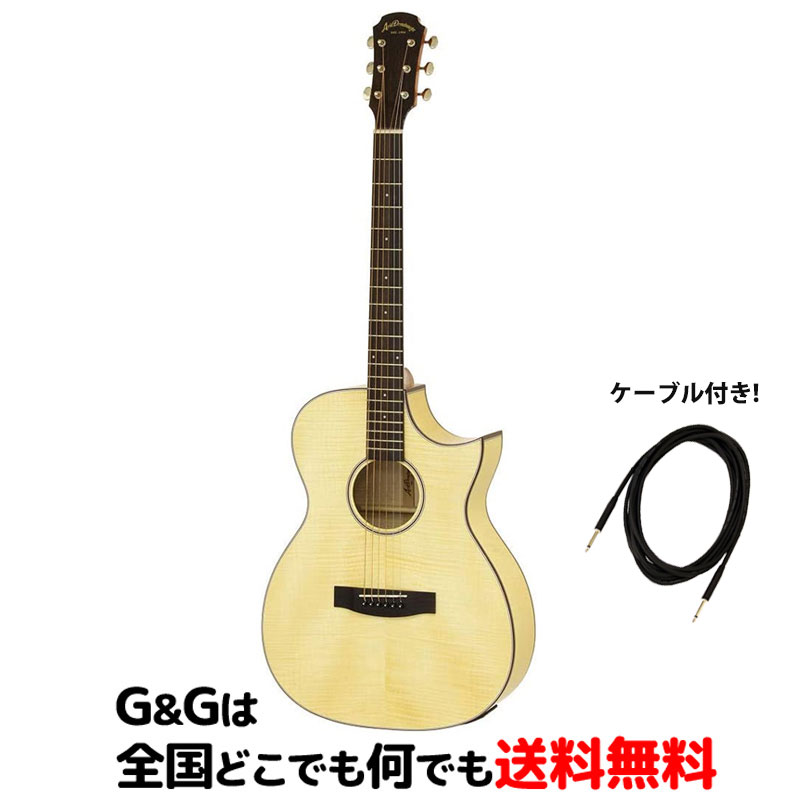 Aria アリア アコギ AF-25TBS ドレッドノート ケース付 ポイント10倍